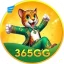 365gg - go